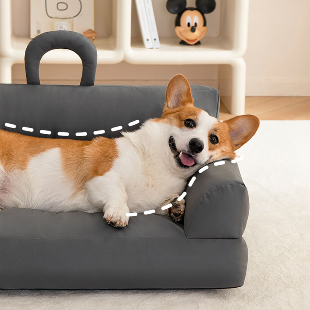 Elevated Pet Sofa Bed Stylish Waterproof Ergonomic Comfort