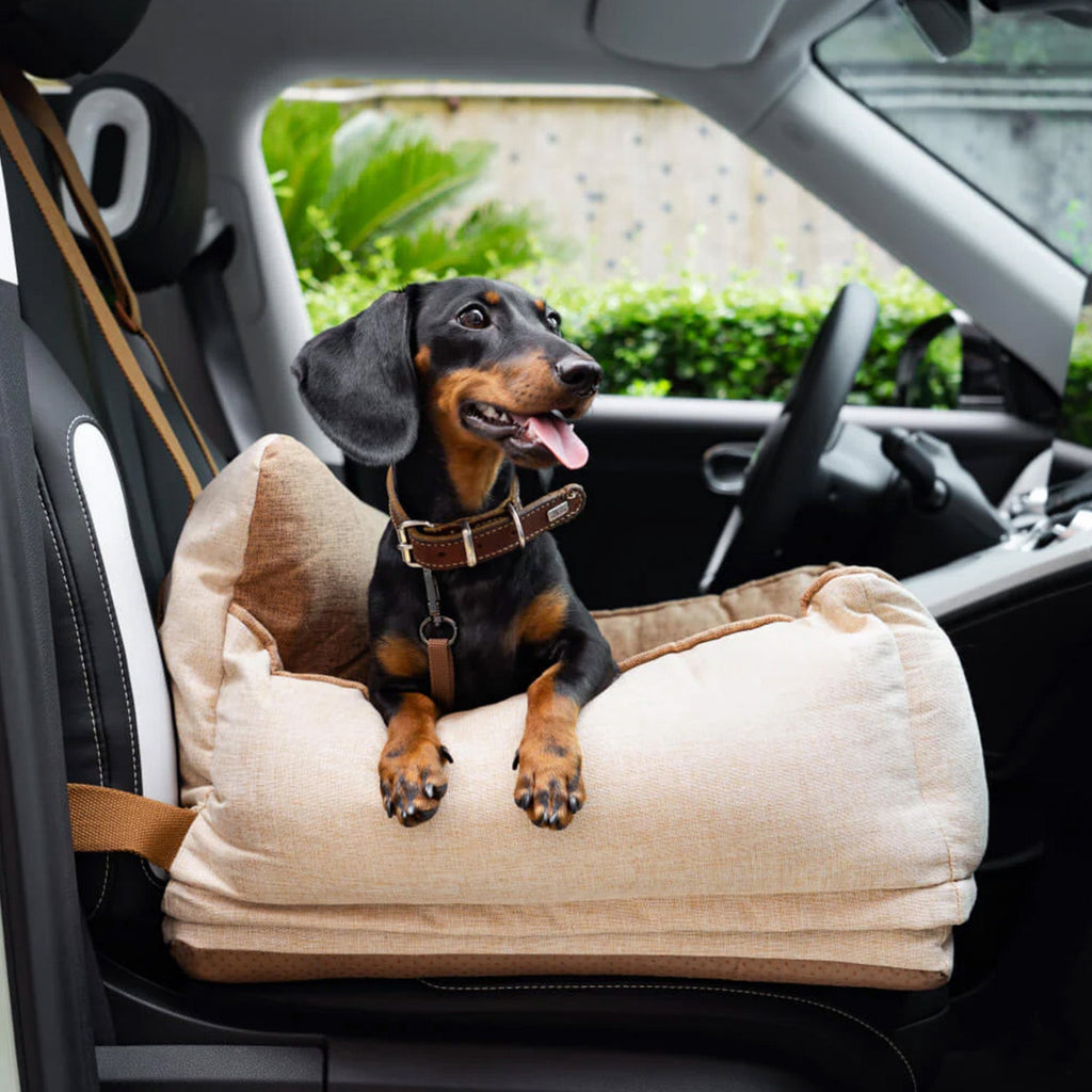 Premium Pet Car Seat – Secure, Comfortable, and All-Season Design
