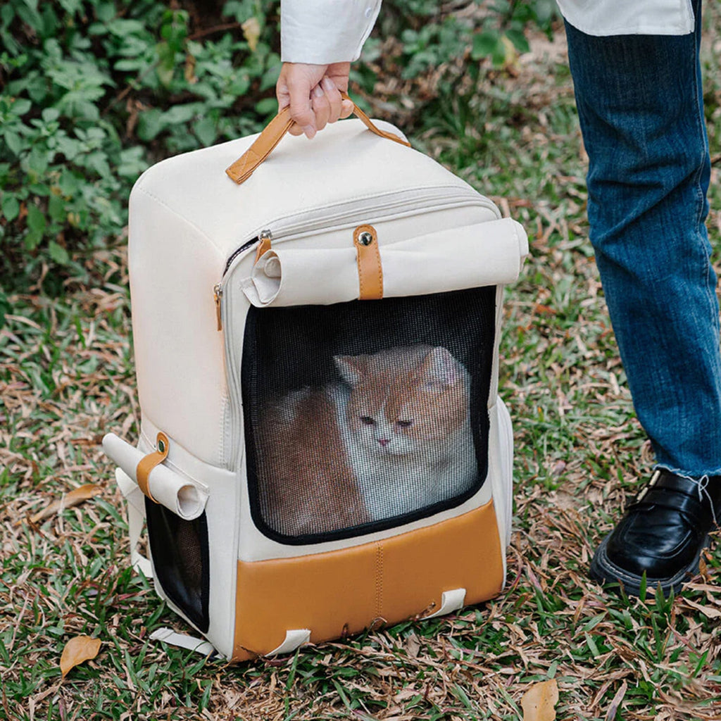 Breathable Cat Backpack – Foldable, Secure, and Travel-Ready