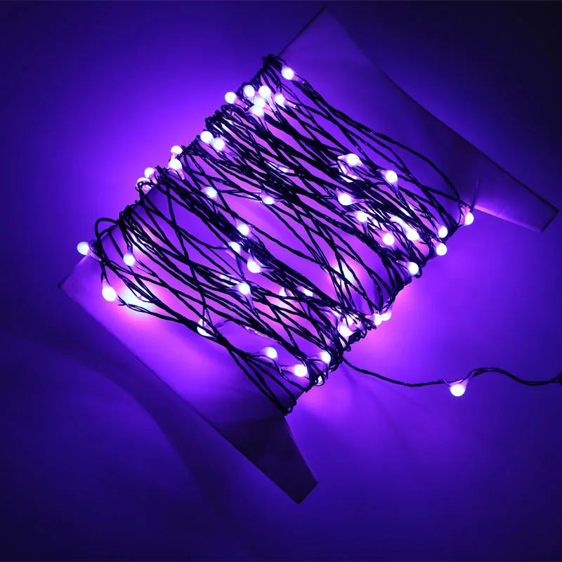 10M Halloween Fairy Lights