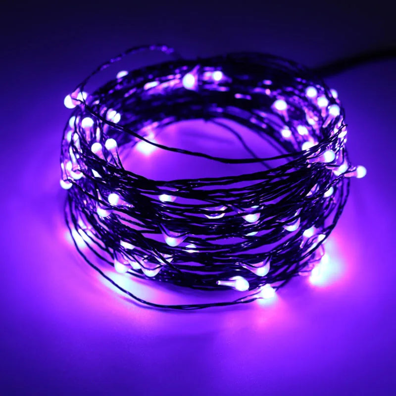 10M Halloween Fairy Lights