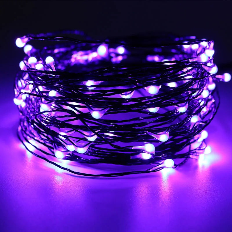 10M Halloween Fairy Lights