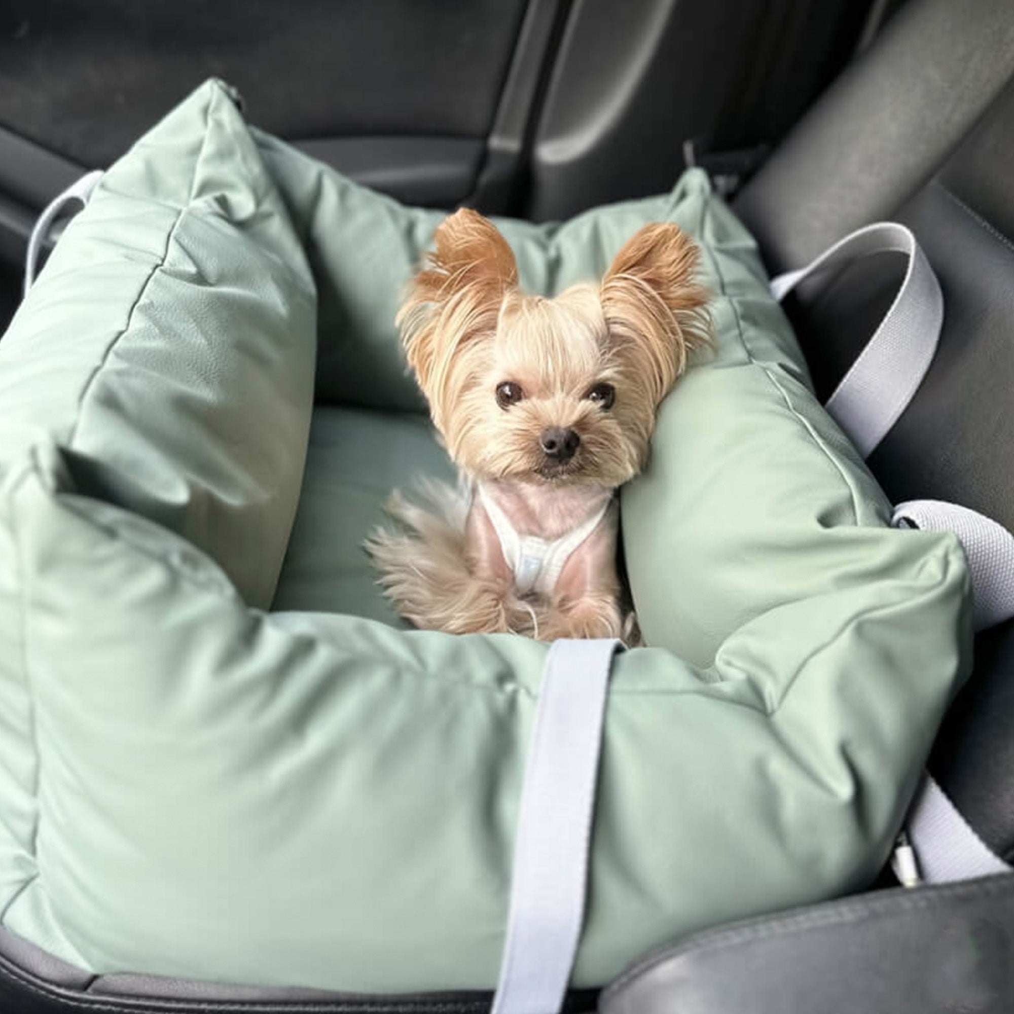 Waterproof Dog Car Seat – Secure, Spacious, and Travel-Friendly