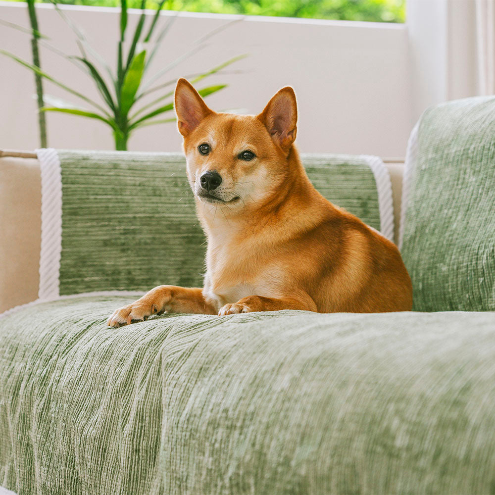 All-Season Anti-Slip Striped Pet Rug Furniture Protector