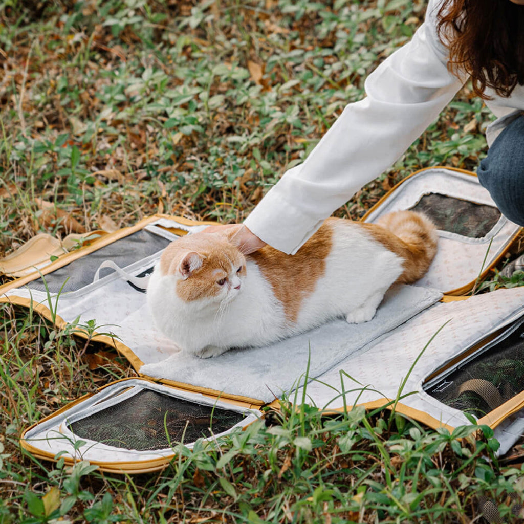 Expandable Pet Carrier – Breathable, Durable, and Travel-Friendly