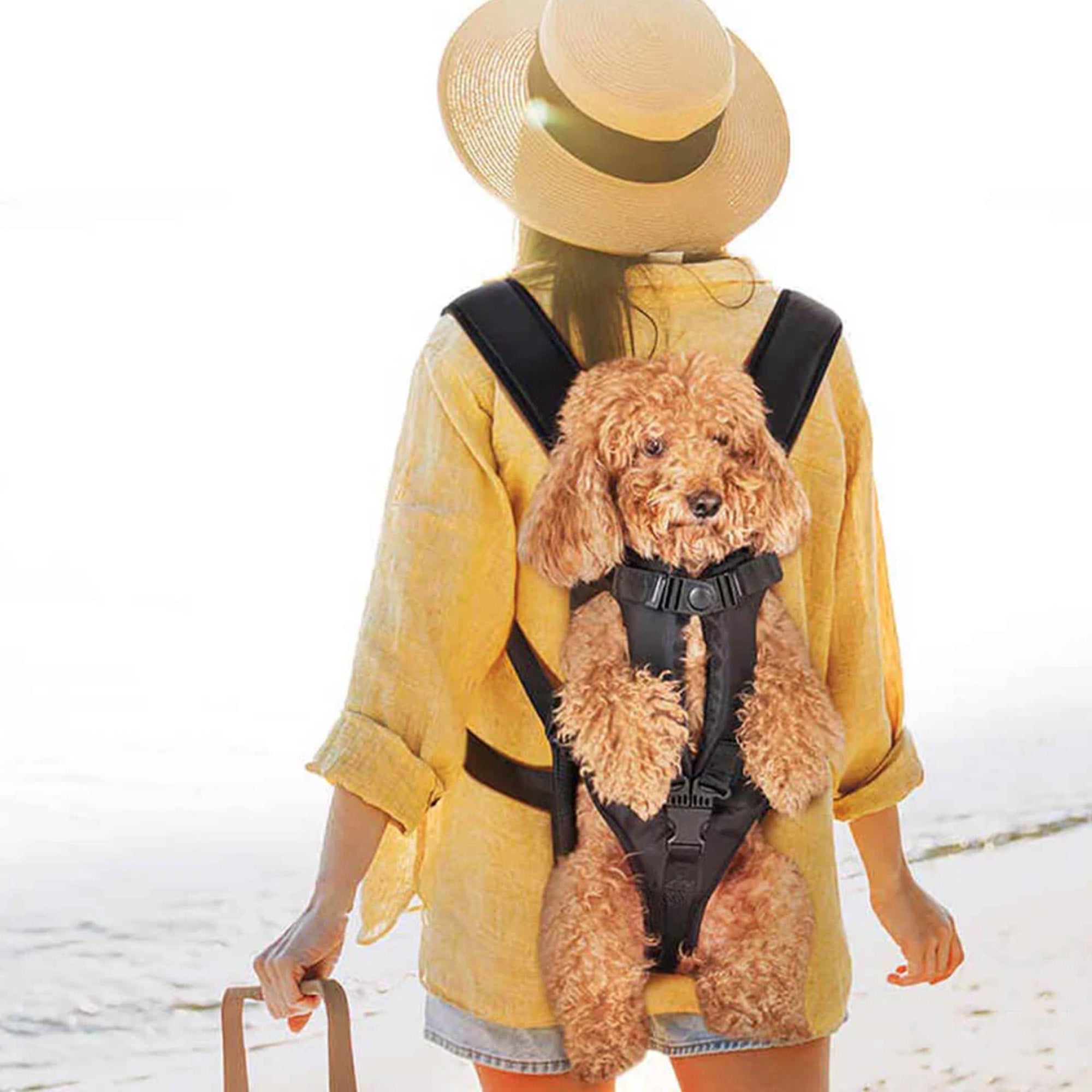 Versatile Pet Carrier Backpack – Secure, Breathable & Waterproof