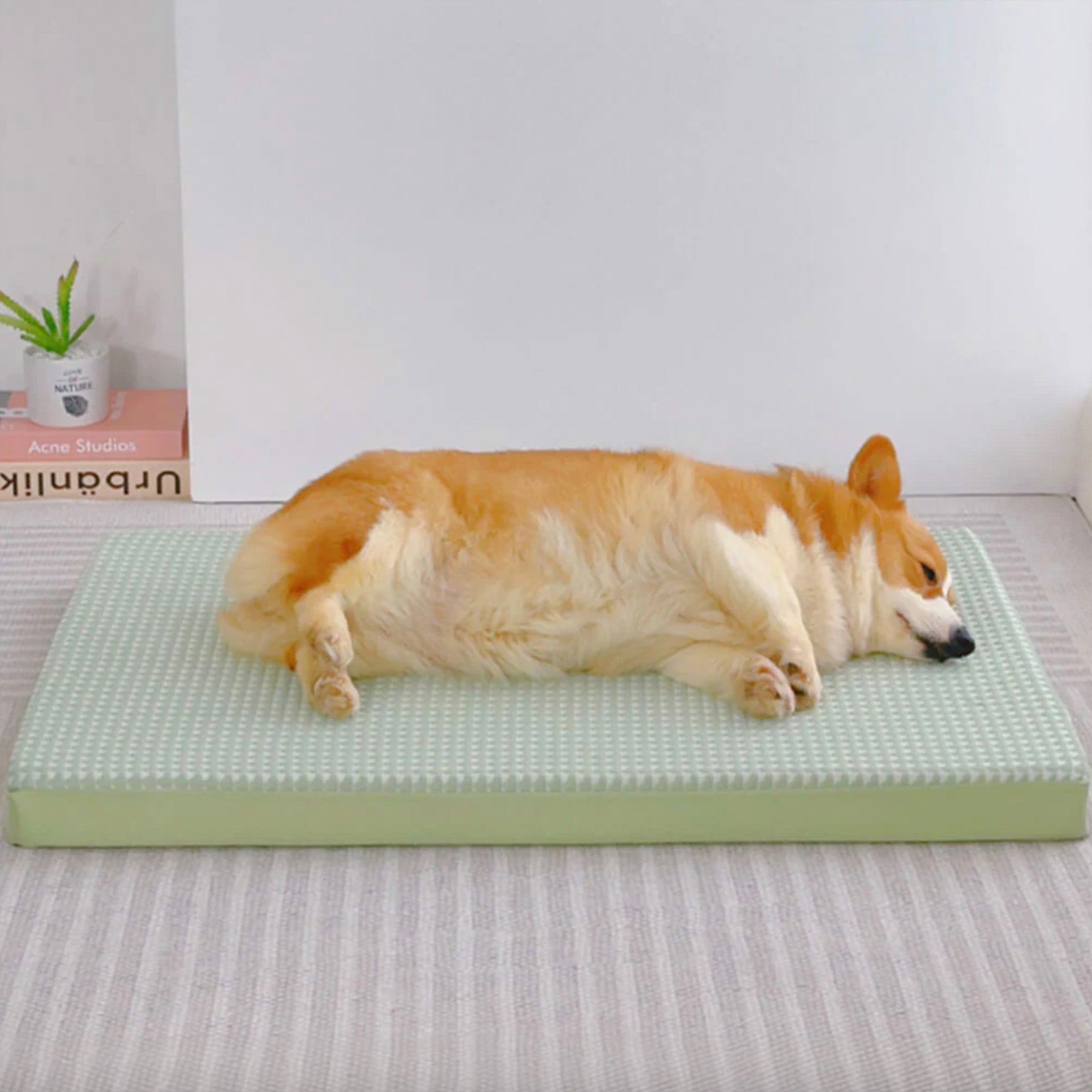 Arctic Breeze Cooling Dog Bed Ice Silk Orthopedic Washable
