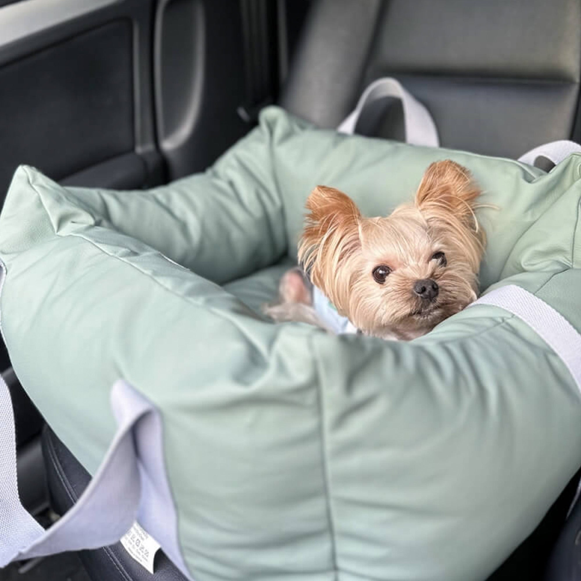 Waterproof Dog Car Seat – Secure, Spacious, and Travel-Friendly