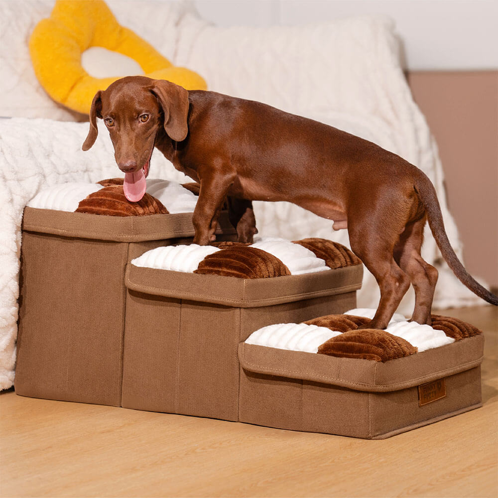 Stylish Dog Stairs with Storage Durable Polypropylene Design
