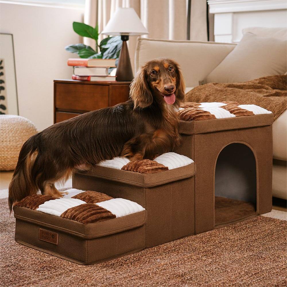 Stylish Dog Stairs with Storage Durable Polypropylene Design