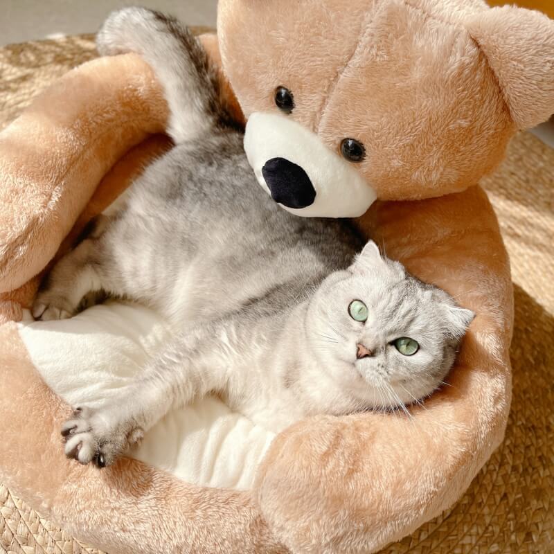 Cozy Bear Cat Sofa Soft Cuddly Adorable Kerseymer Fabric
