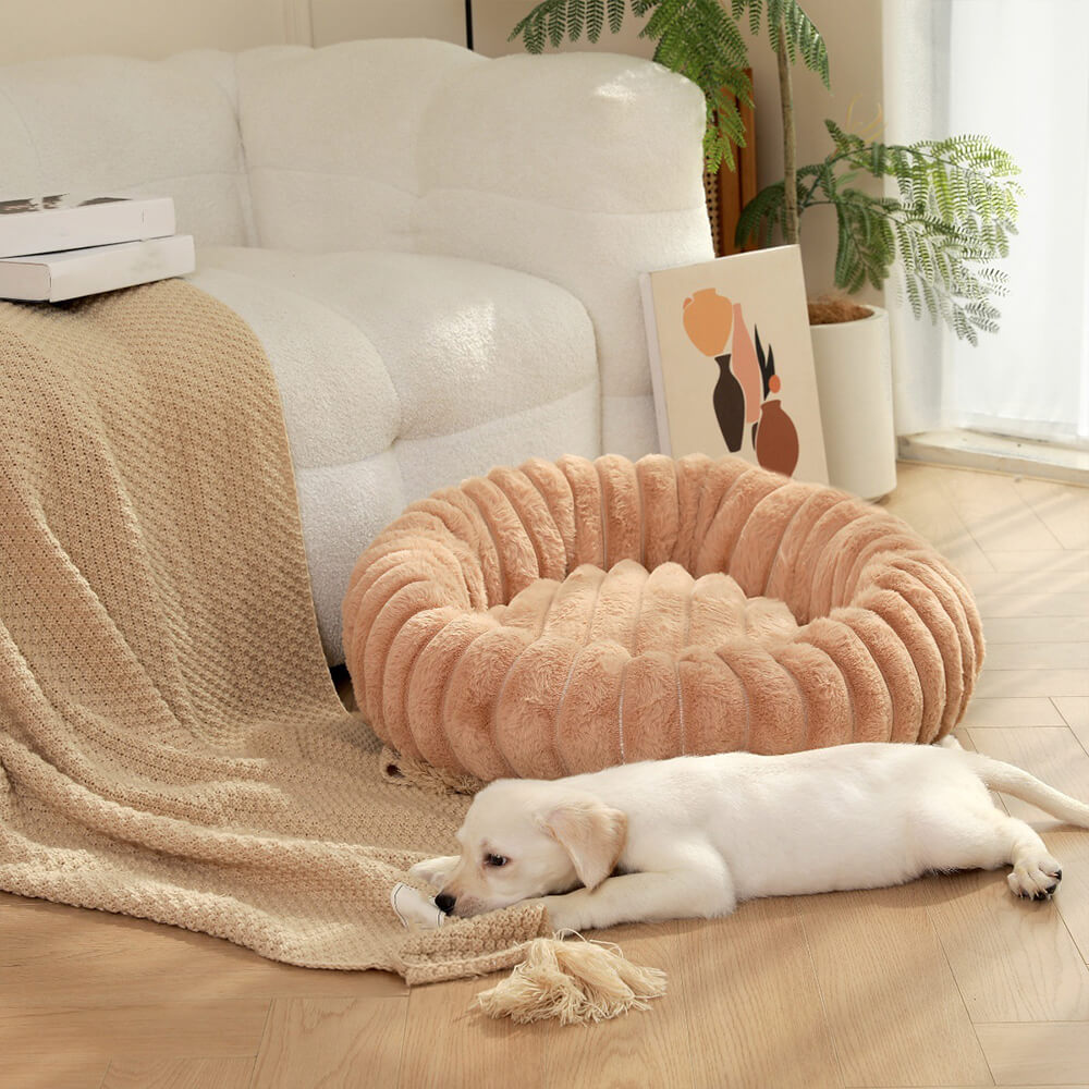 Ultra-Soft Donut Pet Bed Cozy Supportive Plush Design