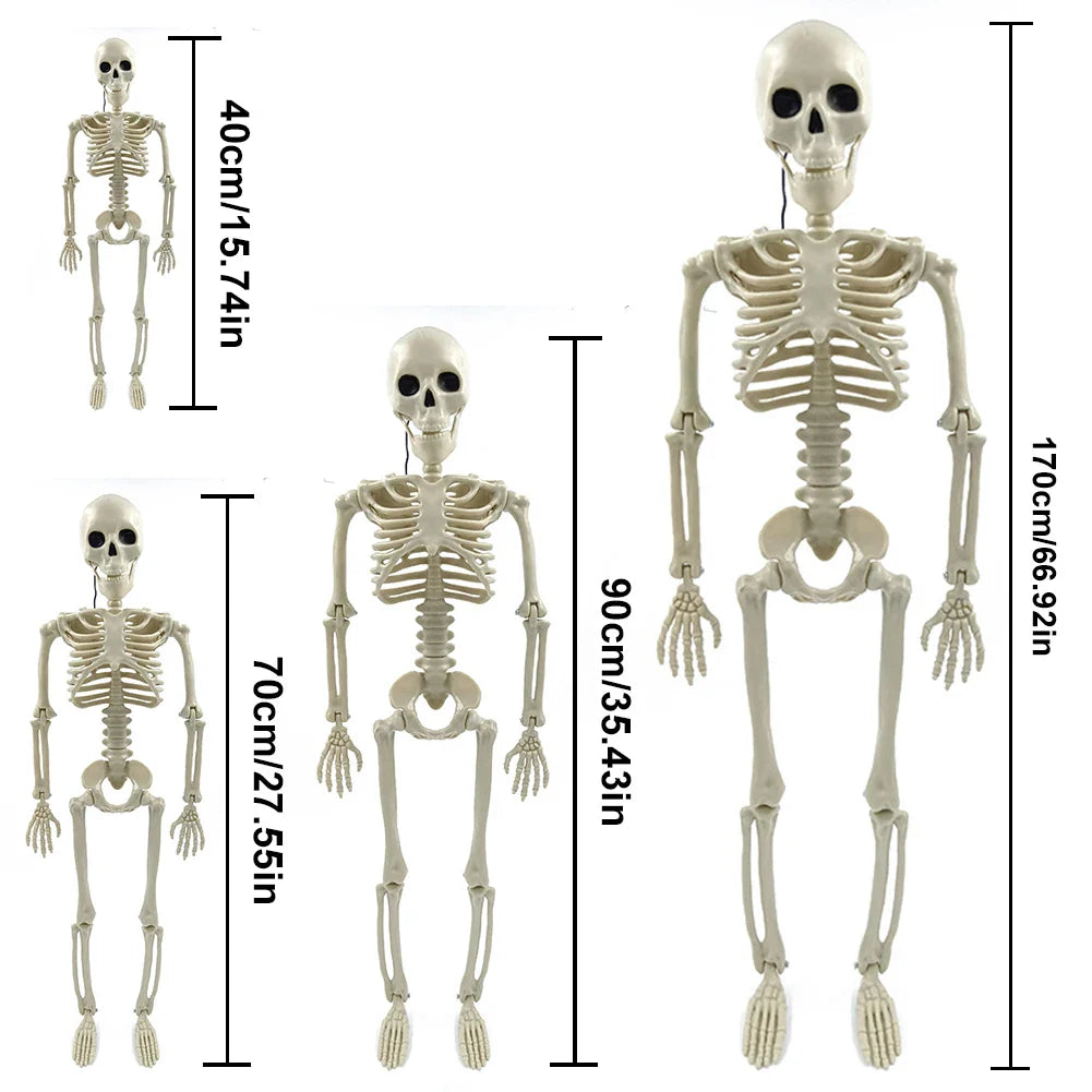 Real life-Size Halloween Skeleton Decoration