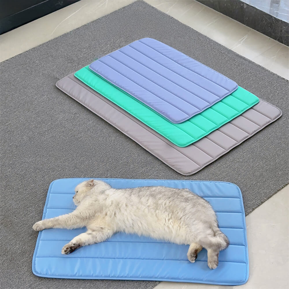 Durable Waterproof Pet Mat Extra Large Non-Slip Easy to Clean