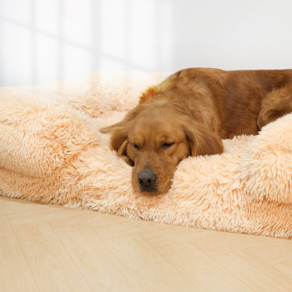 Plush Dog Bed Soft Supportive Easy to Clean Waterproof