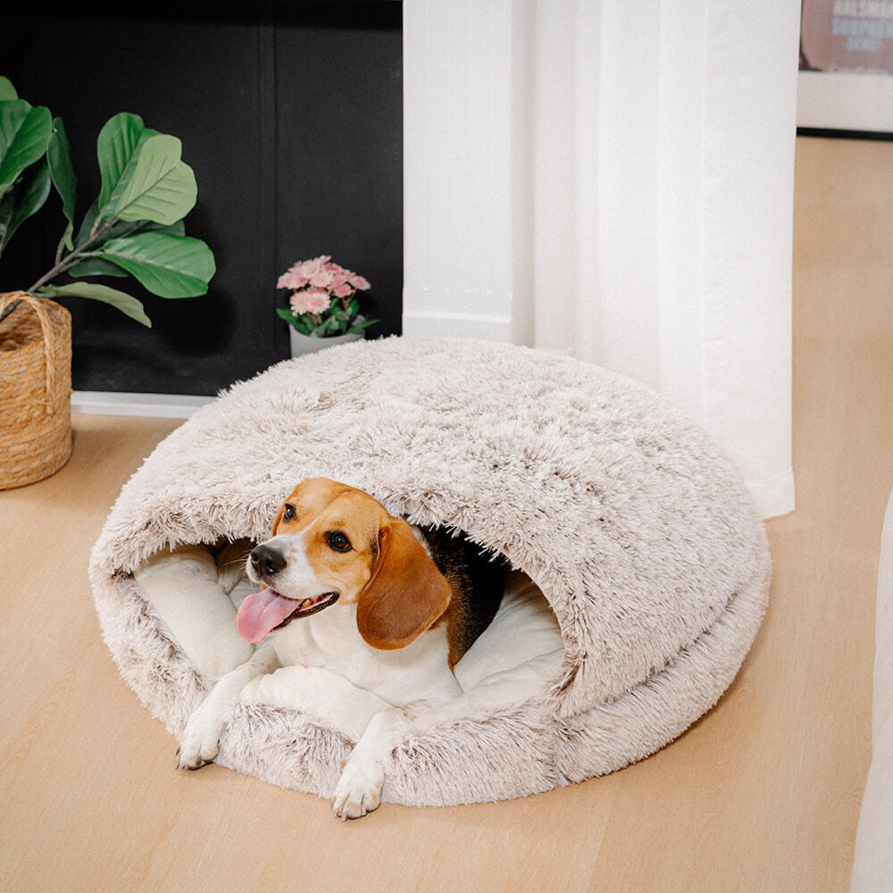 Cozy & Secure Semi-Enclosed Pet Bed Soft Cotton Fabric