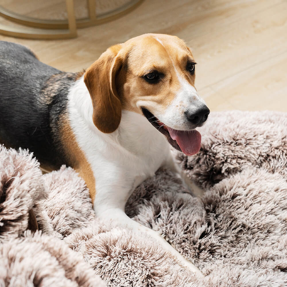Cozy Round Dog Bed Soft Faux-Fur for Ultimate Comfort