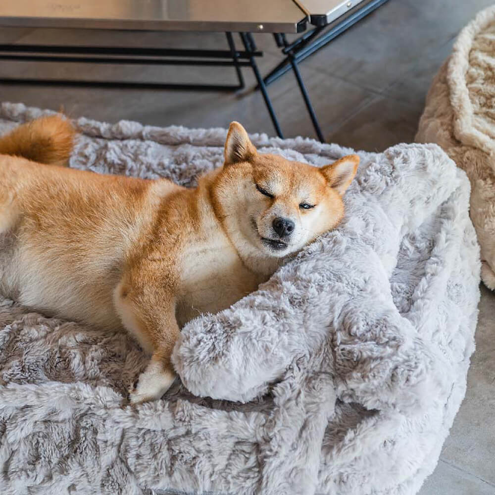 Warming Fluffy Round Cloud Dog Bed with Supportive Pillow