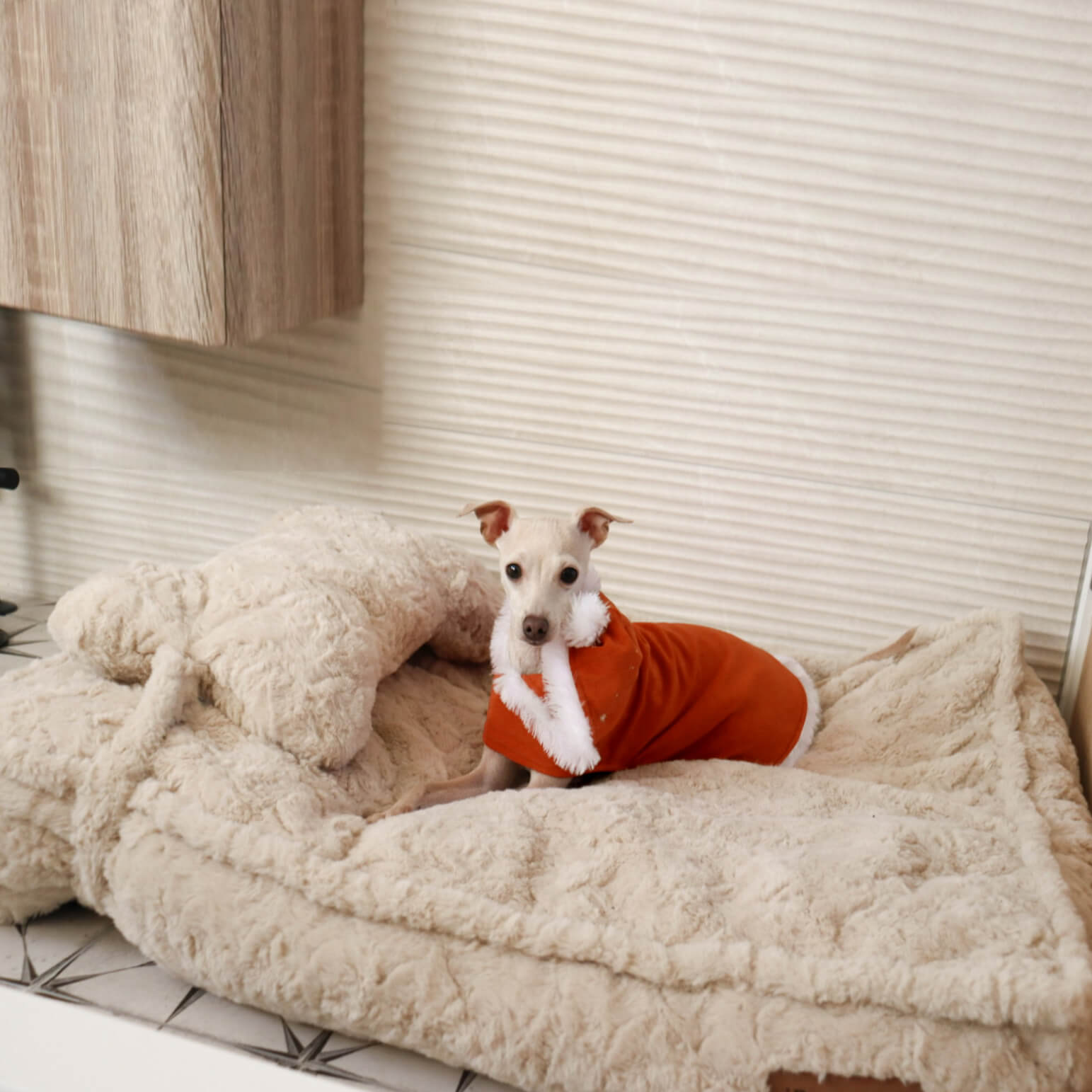 Warming Fluffy Round Cloud Dog Bed with Supportive Pillow