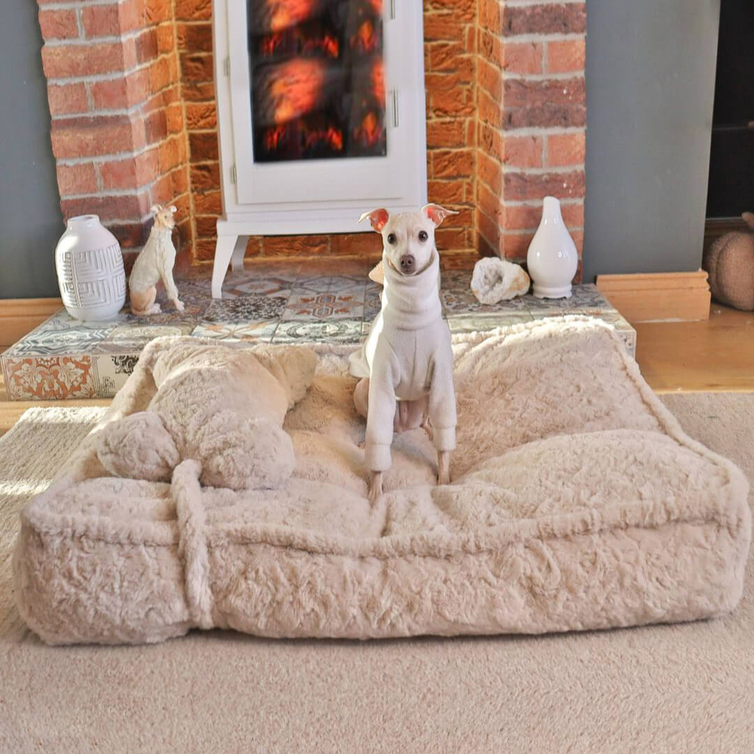 Warming Fluffy Round Cloud Dog Bed with Supportive Pillow