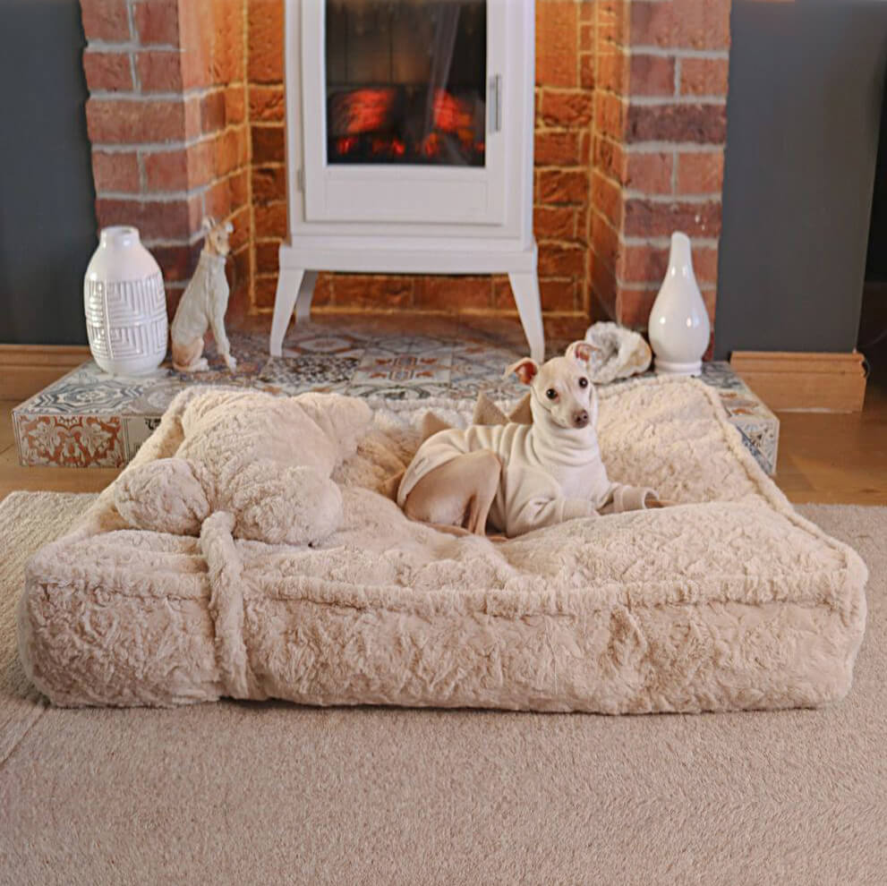 Warming Fluffy Round Cloud Dog Bed with Supportive Pillow