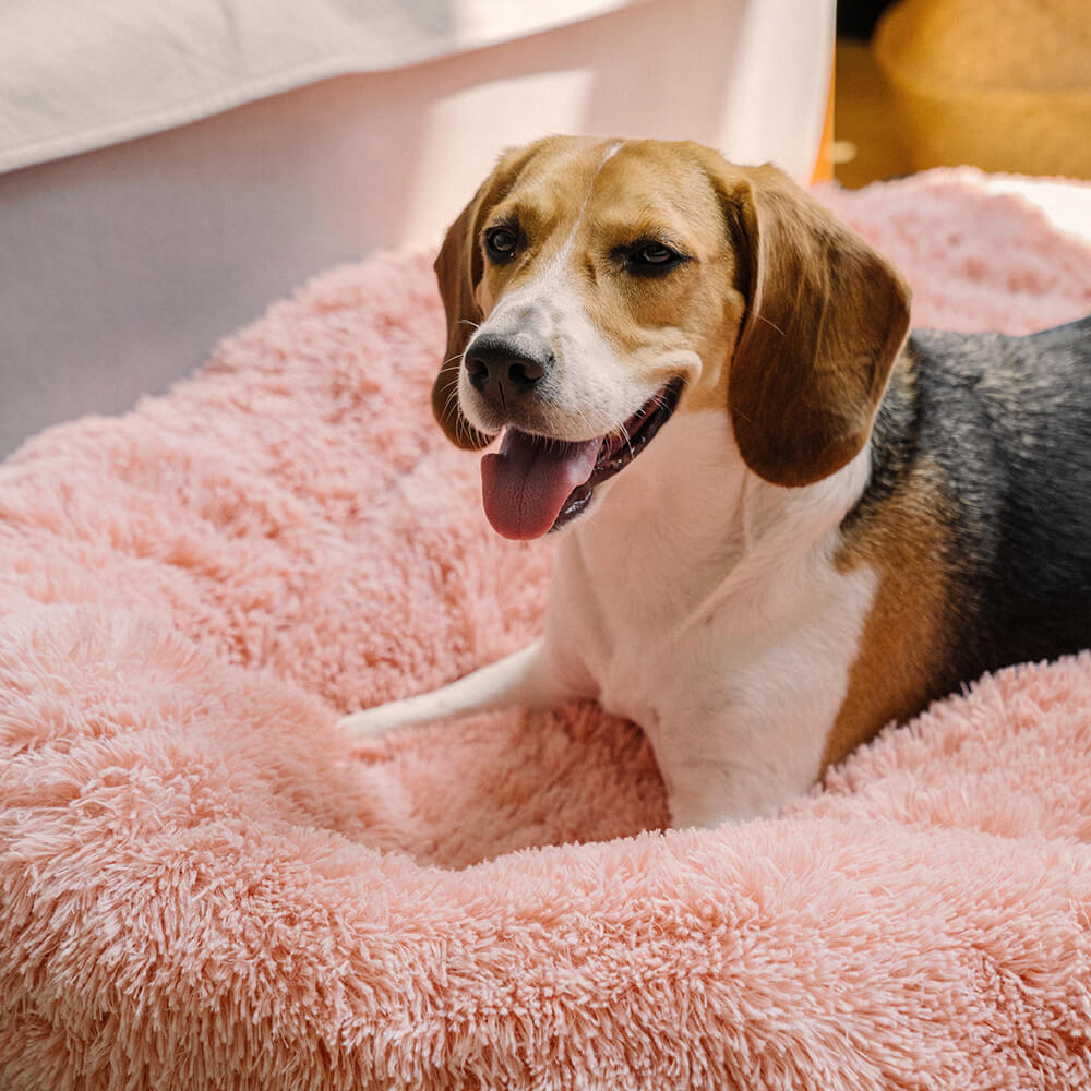 Round Fluffy Dog Bed Soft Nylon Faux Fur Removable Cover