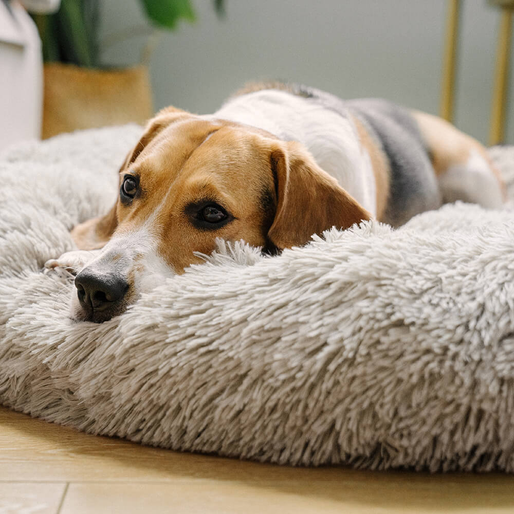 Round Fluffy Dog Bed Soft Nylon Faux Fur Removable Cover