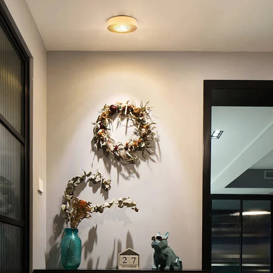 Energy-Efficient LED Ceiling Spotlight