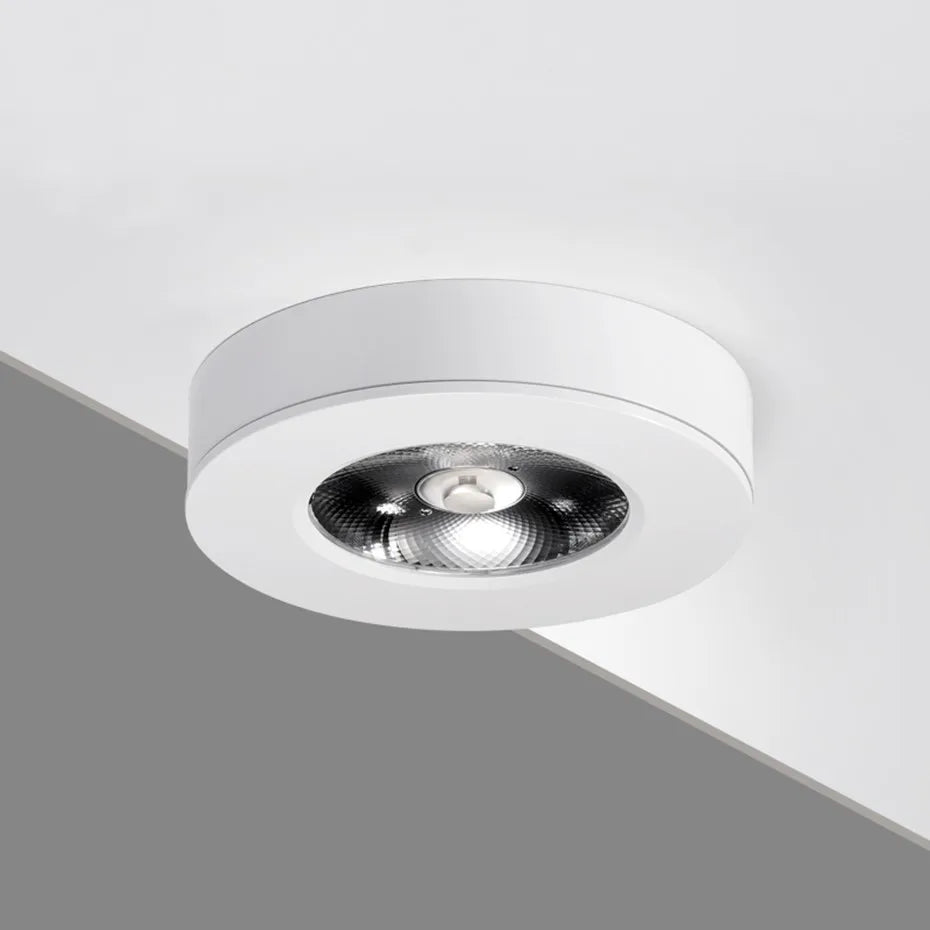 Energy-Efficient LED Ceiling Spotlight