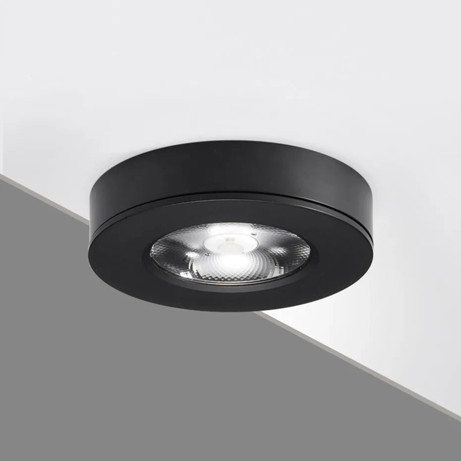 Energy-Efficient LED Ceiling Spotlight