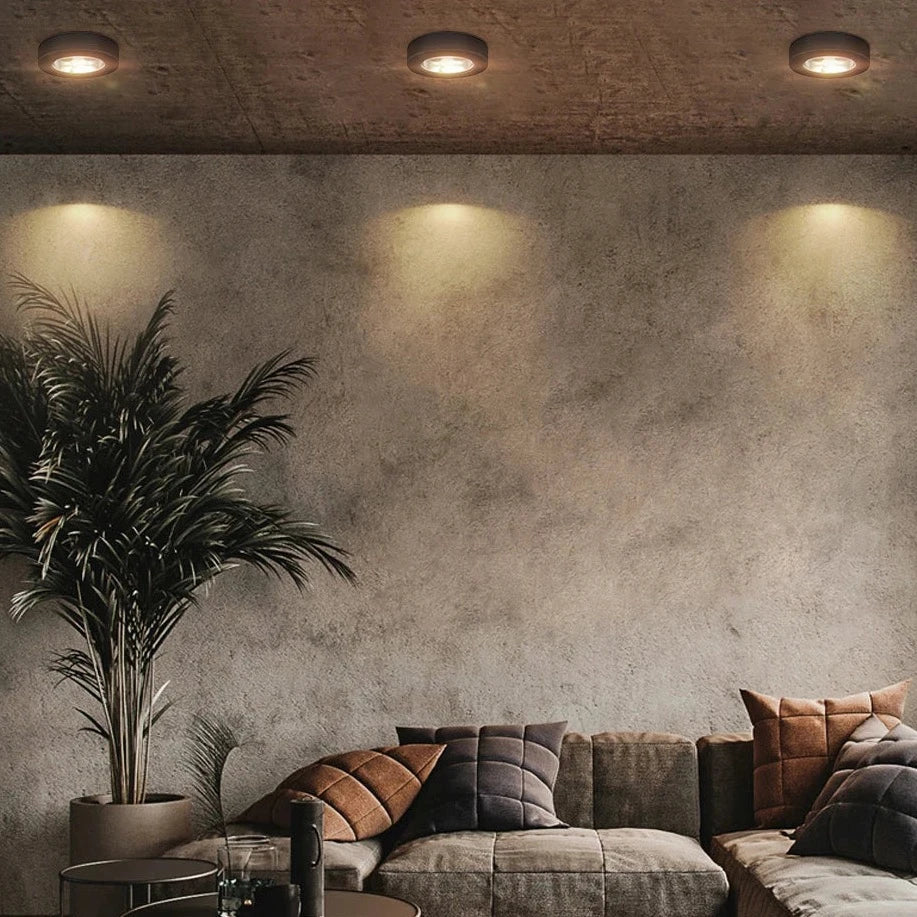 Energy-Efficient LED Ceiling Spotlight