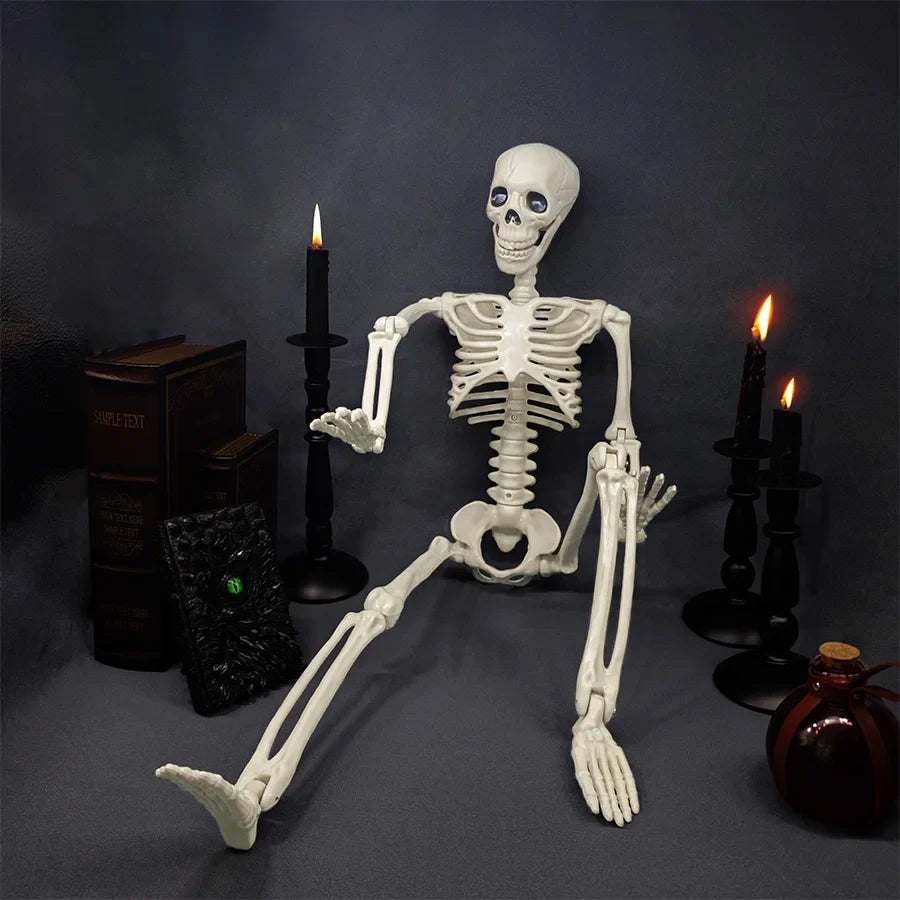 Life Size Posable Halloween Skeleton