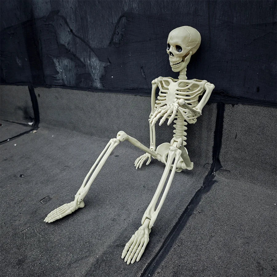 Life Size Posable Halloween Skeleton