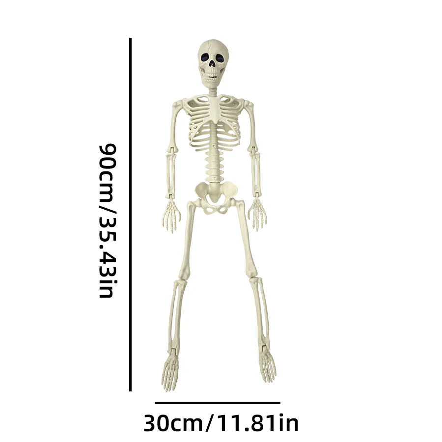 Life Size Posable Halloween Skeleton