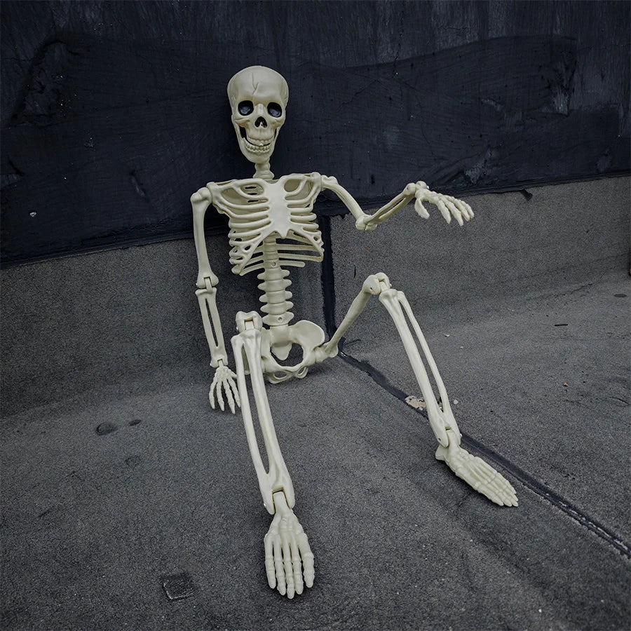 Life Size Posable Halloween Skeleton