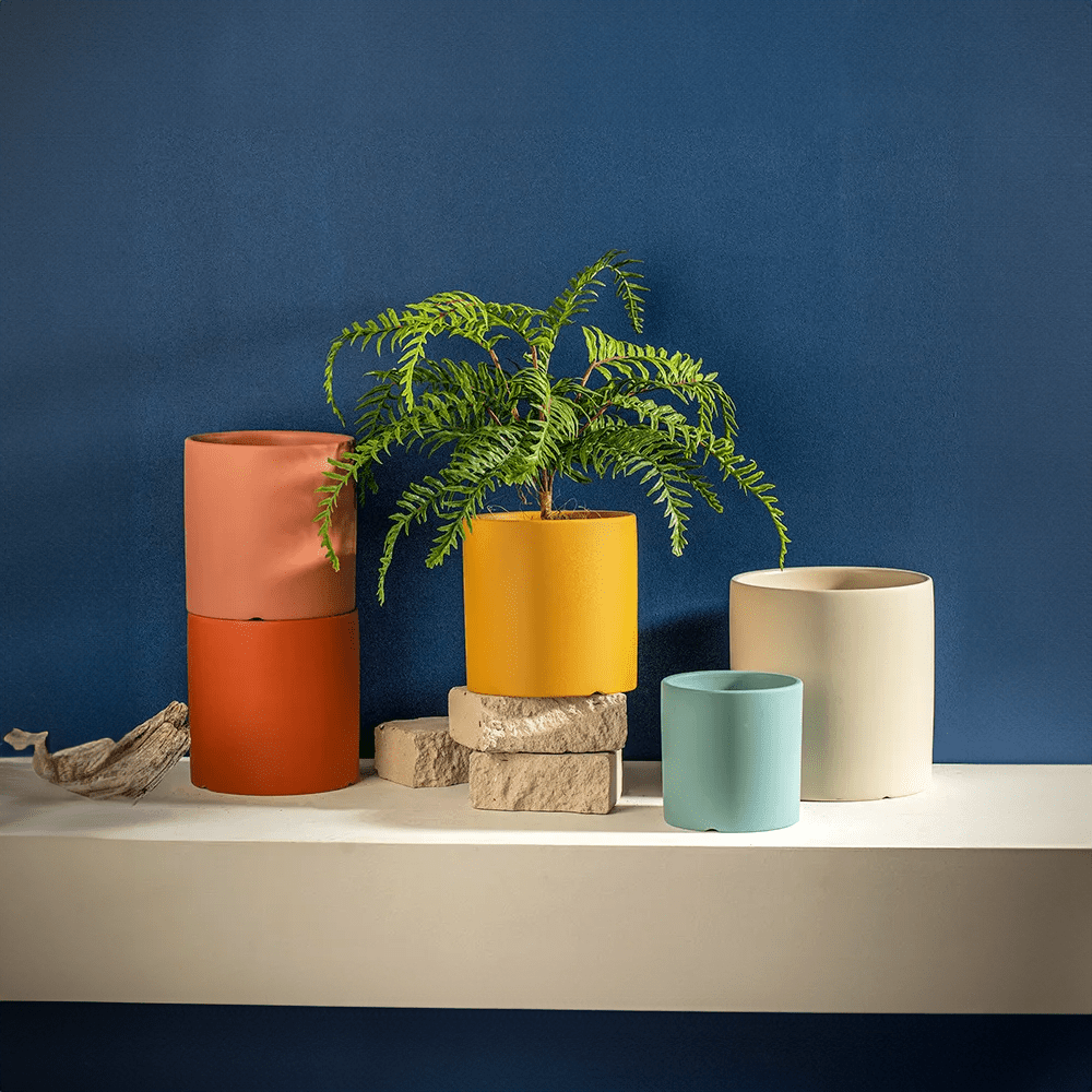 Colourful Ceramic Flower Pot with Drainage Modern Design