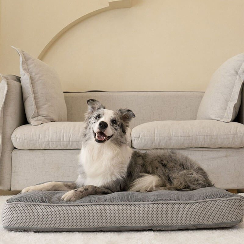 Premium Orthopedic Dog Bed Breathable Supportive Easy to Clean