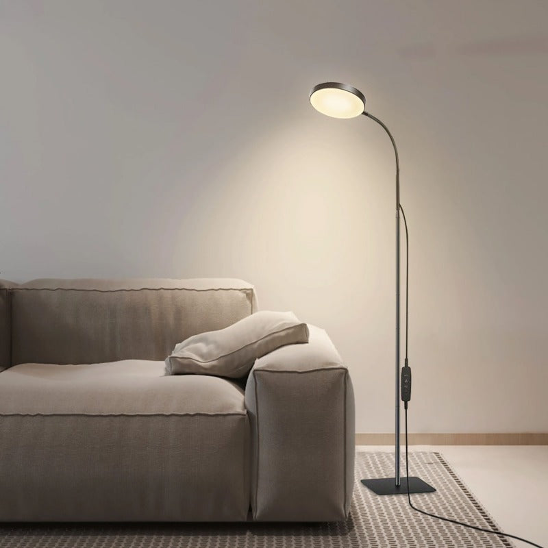 LED Floor Lamp with Adjustable Gooseneck and Eye Protection