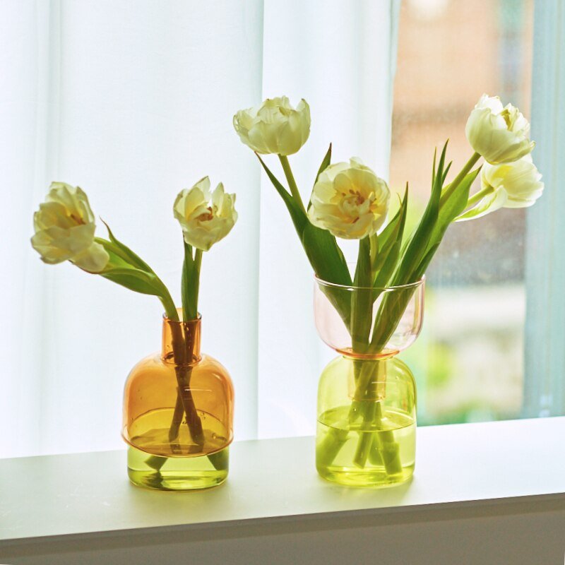 Two Piece Mini Bud Vase Terrarium Set - Glass Modern Design